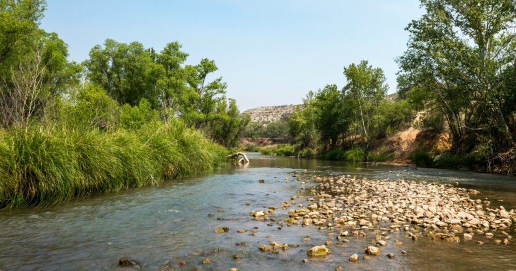 How Coca-Cola, Google and REI Join Efforts to Protect Arizona's Verde River