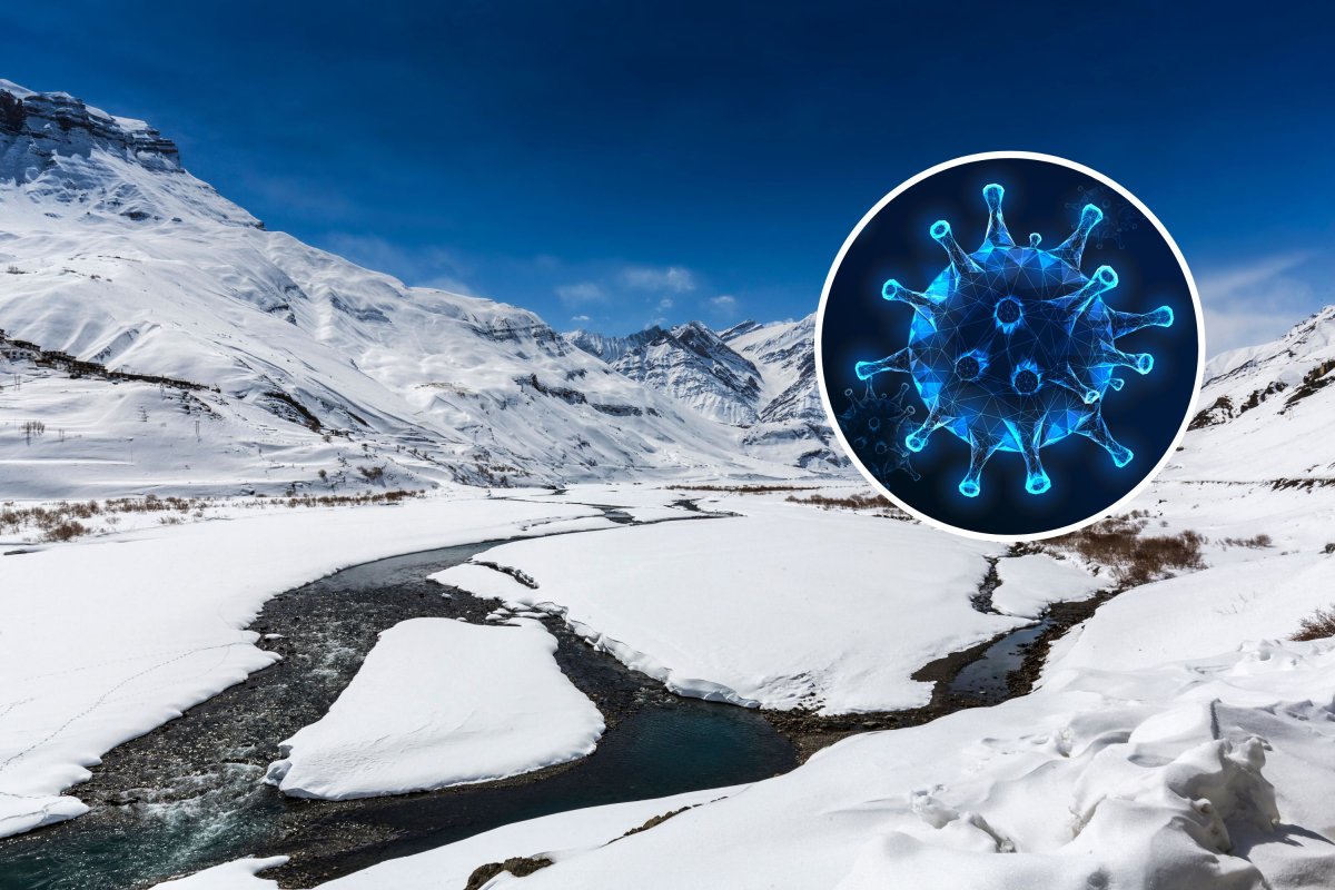 Himalayan ice core virus